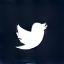X (Twitter) icon